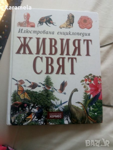 Детска енциклопедия, снимка 1