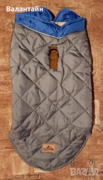 Яке за куче среден размер , снимка 1