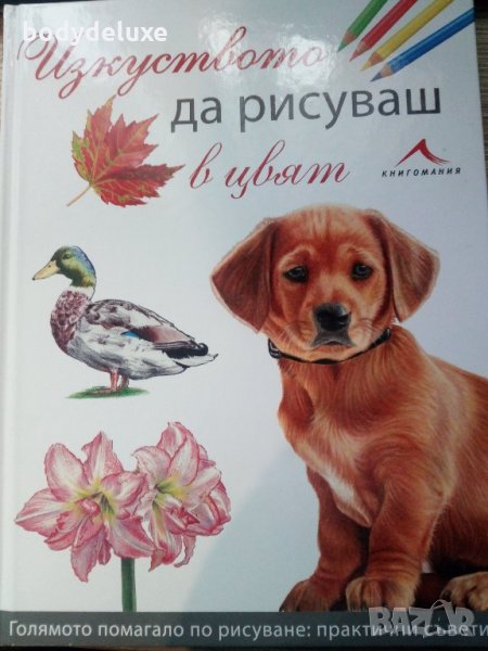 Изкуството да рисуваш в цвят, снимка 1
