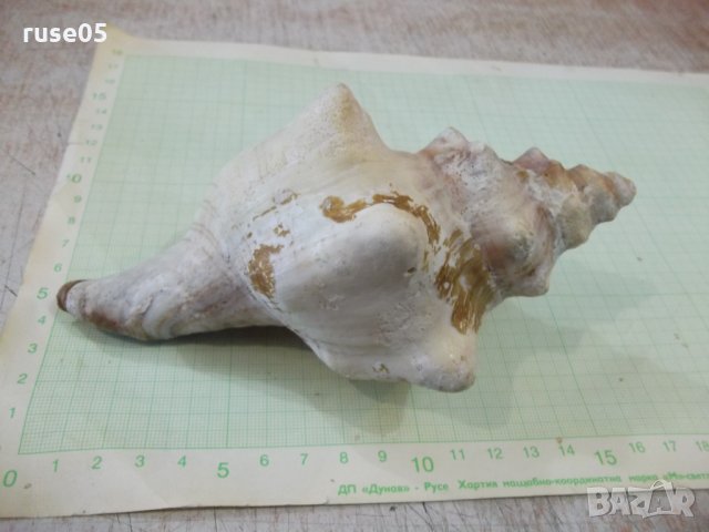 Раковина - 18, снимка 6 - Други ценни предмети - 34640989