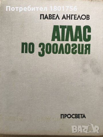 Атлас по зоология Безгръбначни животни - Павел Ангелов, снимка 2 - Енциклопедии, справочници - 28699631