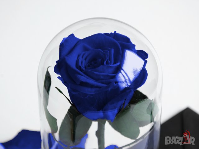 Оригинален Подарък за Жена / Синя Вечна Роза в Стъкленица / Естествена Роза Подарък за Имен Ден, снимка 10 - Други - 34470556