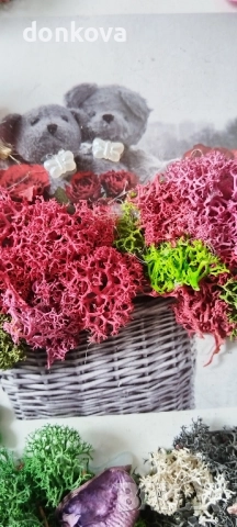 декорации ръчно изработени от жив скандинавски мъх и сапунени рози., снимка 2 - Декорация за дома - 52206005