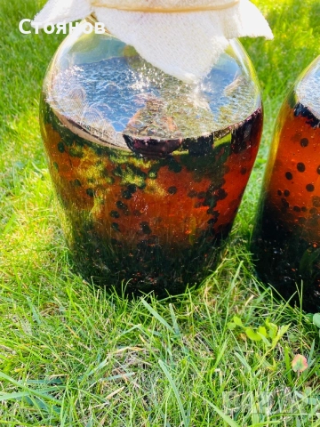 Сироп черен бъз с мед, бъзак с мед, снимка 13 - Други - 51738820