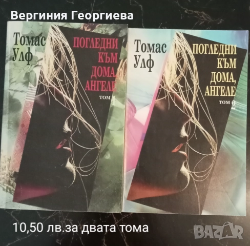 Американска литература - Хемингуей, Фицджералд, Селинджър и други , снимка 6 - Художествена литература - 51862954