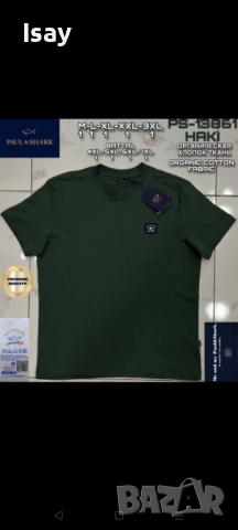 Мъжка тениска Паул Шарк в зелен цвят 