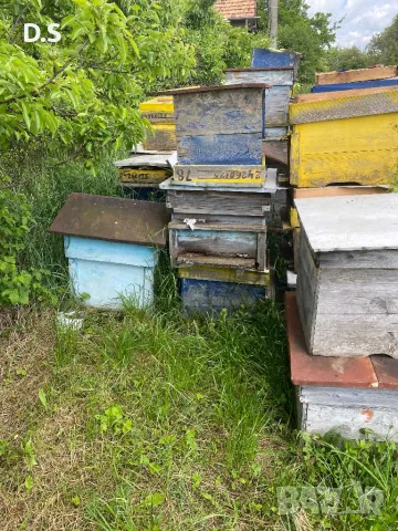 Продавам кошери , снимка 7 - За пчели - 50269935