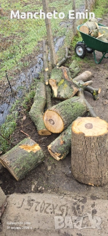 Продавам орехови трупчета , снимка 3 - Дърводелски услуги - 53302149