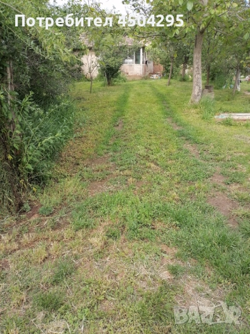 Продавам Дворно място в с Долно Церовене обл Монтана , снимка 5 - Къщи - 52482528