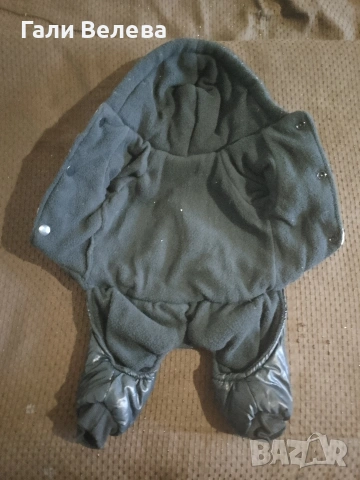 Дрехи за малко куче