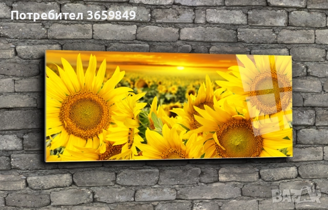 Картини от принт стъкло, снимка 13 - Картини - 52668805