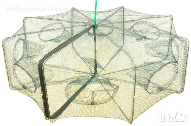 Рачило, снимка 1