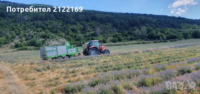 Земеделска земя, снимка 6 - Земеделска земя - 53100885