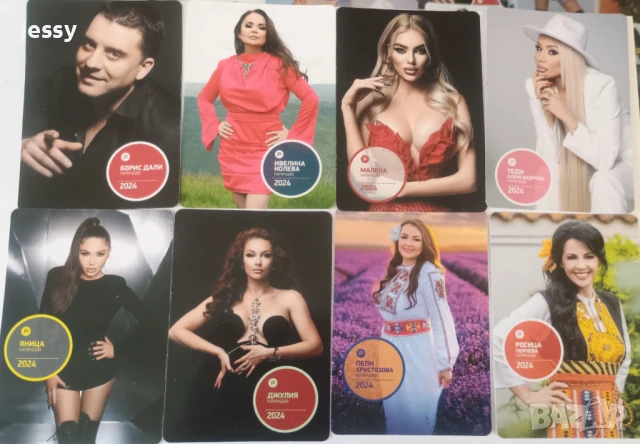 80 календарчета на Пайнер за периода 2025-2006 годона, снимка 2 - Колекции - 48813576