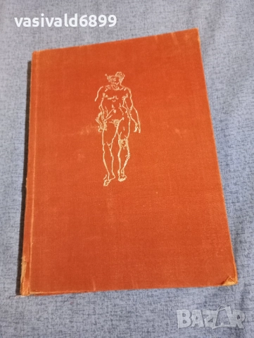 Микеланджело Буонароти - лирика , снимка 2 - Художествена литература - 52147357