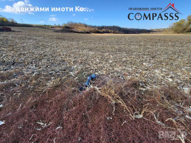 с. Крагулево, обл. Добрич, стопански двор с 50дка нива кат.3та - 350 000лева!, снимка 3 - Други - 44124654