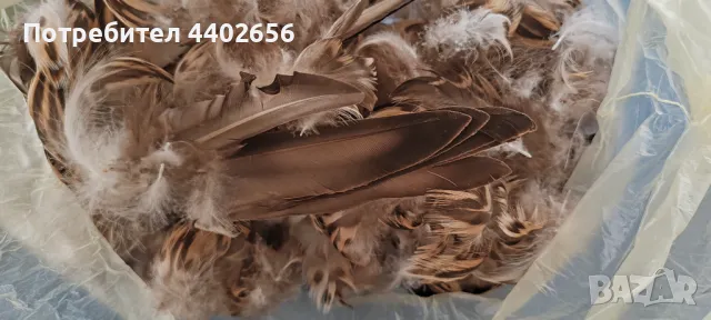 Пера от диви патици за Мухарски риболов 