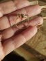Нов златен пръстен 14К злато -СПЕШНО, снимка 4