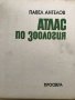 Атлас по зоология Безгръбначни животни - Павел Ангелов, снимка 2