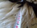 Продавам дългокосмен китеник / губер .., снимка 5