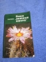 Книга за кактуси , снимка 1