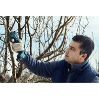 Акумулаторна лозарска ножица BOSCH Pro Pruner, снимка 5 - Градинска техника - 39679337