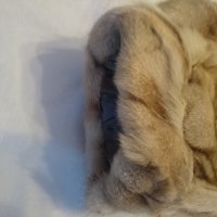 Дамско палто от сребърна лисица, снимка 7 - Други - 33377558