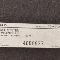 Тонколони Sony SS-A 300, снимка 4 - Тонколони - 28995279