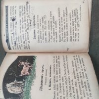 Продавам Читанка Елин Пелин 1931, снимка 5 - Детски книжки - 43163292
