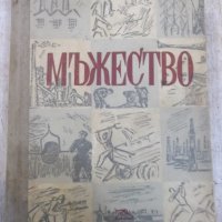 Книга "Мъжество - Вера Кетлинская" - 662 стр., снимка 1 - Художествена литература - 26607001