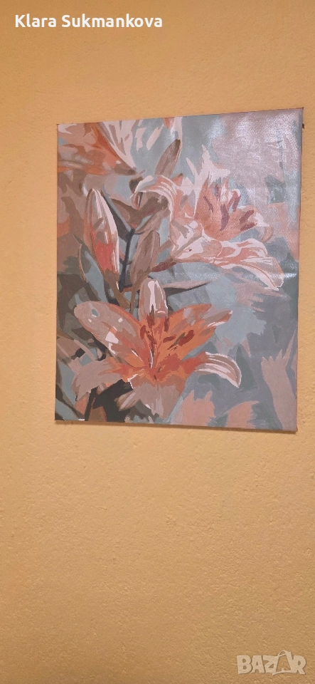 картина рисувана по номера , снимка 1