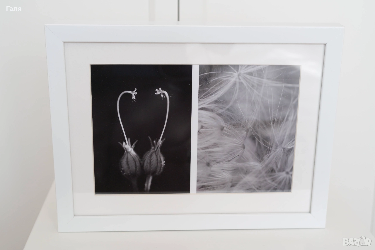 Фотография диптих, рамкирана, черно-бяла, снимка 1