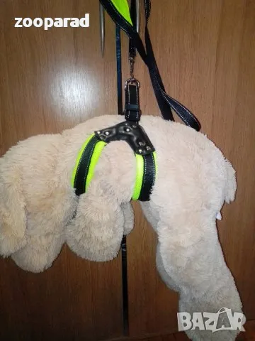 Нагръдник с повод в 2 размера: - 12лв , снимка 1