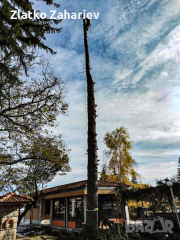 Рязане,оформяне,укрепване на опасни дървета , снимка 17 - Други услуги - 39864280