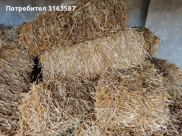 Бали пшенична слама 