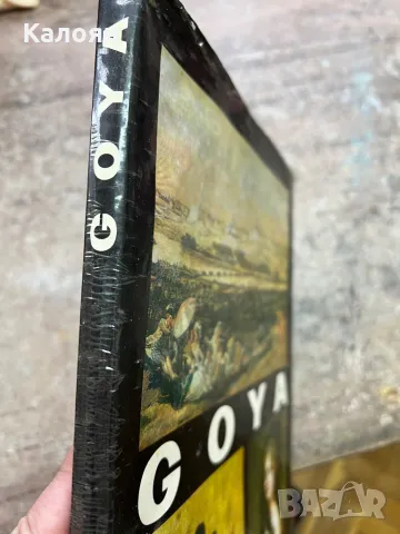 Стар албум на Гоя , снимка 2 - Специализирана литература - 48075673