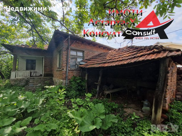 Астарта-Х Консулт продава къща в село Добрич общ.Димитровград , снимка 7 - Къщи - 40769060