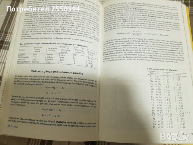 Der Hauslehrer , снимка 2 - Специализирана литература - 38042973