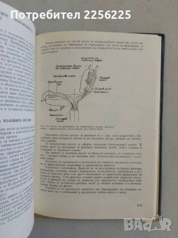 Гинекология, снимка 7 - Специализирана литература - 47490359