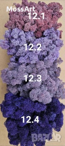 Скандинавски мъх 6лв. за 100г., снимка 5 - Декорация за дома - 36227320