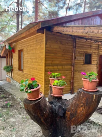 Къща за гости “Sunrise”- Цигов Чарк, снимка 2 - Вили - 39169240