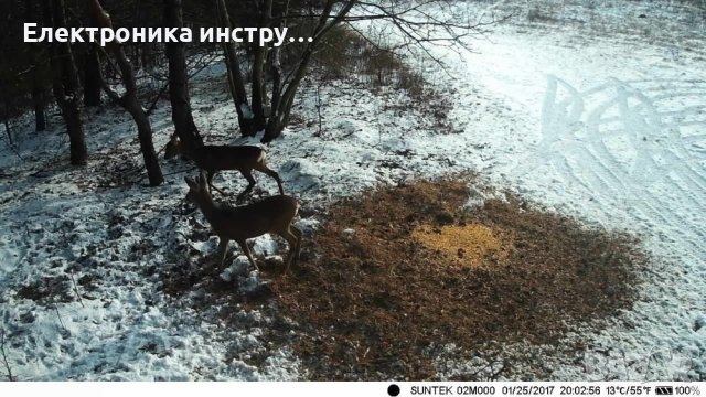 Ловна камера Automat, HC-801 MG, Нощно виждане, Full HD, 3G модул, снимка 7 - Оборудване и аксесоари за оръжия - 36956488