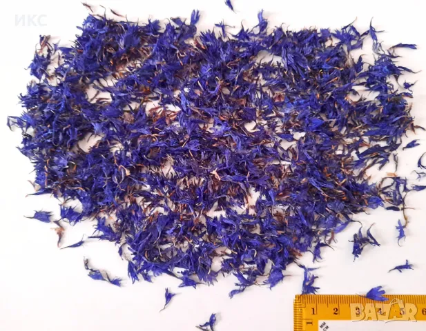 Сушени рози,невен,лавандула,синчец,естествени цветя на едро и дребно за България и чужбина,етерични, снимка 6 - Декорация - 48915910