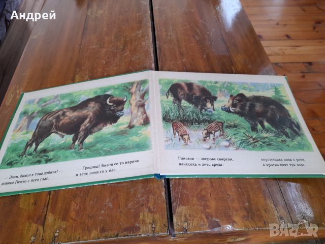 Книга Животни в равнини,гори и планини, снимка 2 - Детски книжки - 36792858