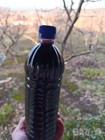 Оцет от черен бъз, Домашен, Био, снимка 8 - Домашни продукти - 48556983