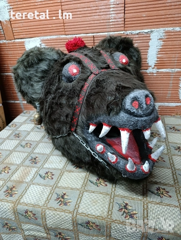 Глави на мечки . Голями, снимка 6 - Други стоки за животни - 52850788