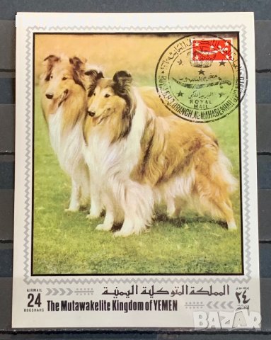 1959. Йемен ,Кралство ~ “ Фауна. Кучета ”