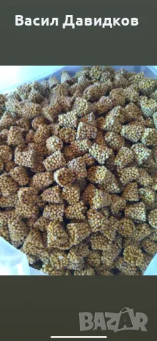 Торове за аквариум/Хранителни топчета-пирамидки , снимка 7 - Други - 48257592