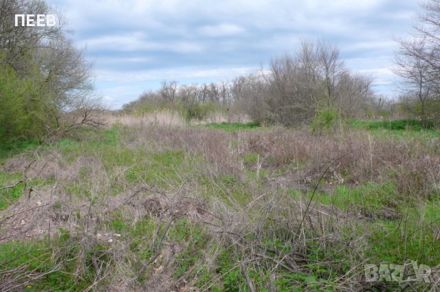 Имот до Индустриална зона, снимка 6 - Други - 37618113