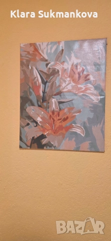 картина рисувана по номера 